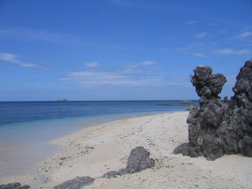 Coral Bay Beach And Dive Resort Busuanga Eksteriør billede