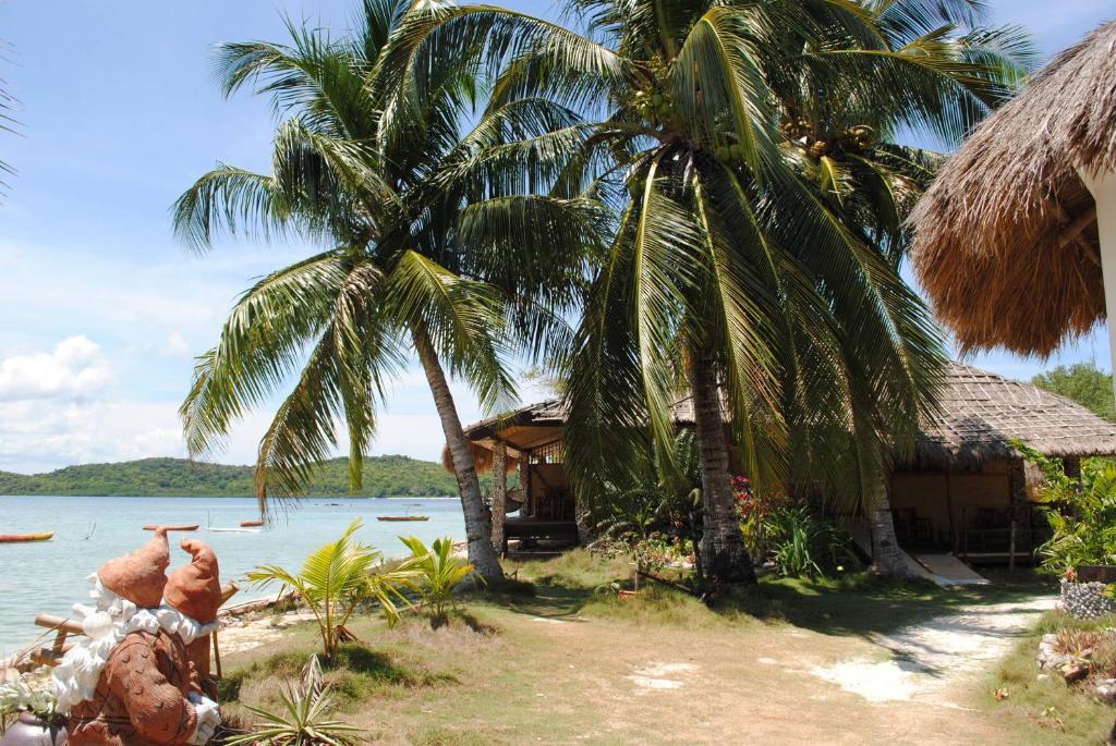 Coral Bay Beach And Dive Resort Busuanga Værelse billede